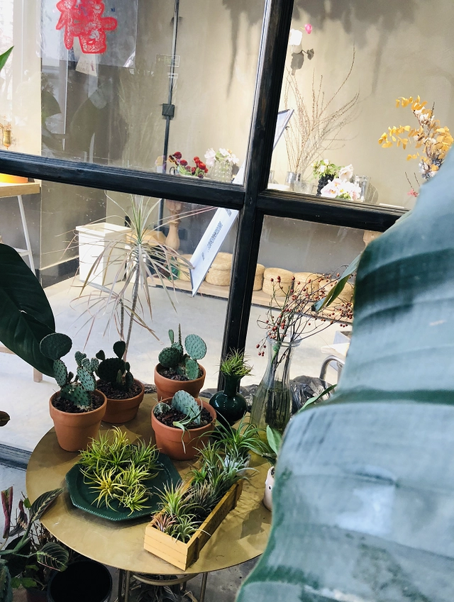 咖啡店的地址_咖啡馆门店_网红咖啡馆定州店