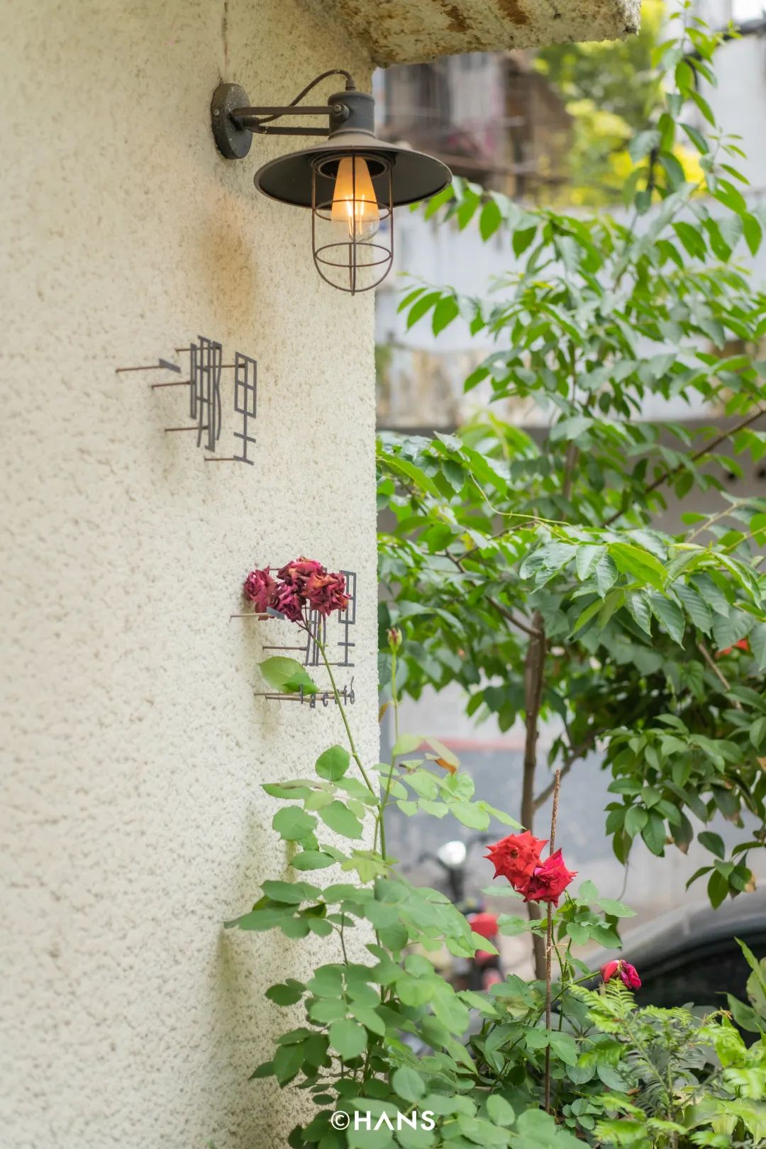 咖啡馆价格表_网红咖啡馆定州店_定州咖啡屋