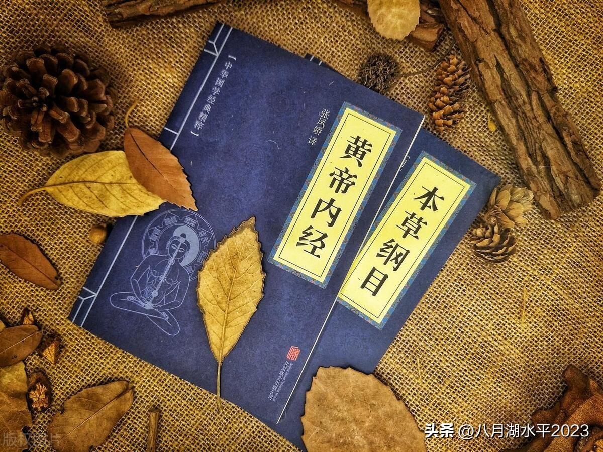 西餐怎样上菜_完整的西餐八道菜顺序_中餐上菜顺序
